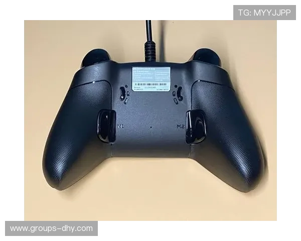 双人成行游戏中如何巧妙利用机摇杆突破难关技巧解析